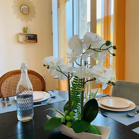 Lumineux Duplex 60m2 Coeur De Ville Apartment