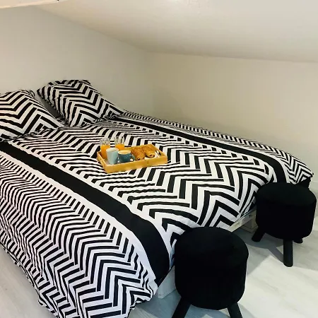Apartment Lumineux Duplex 60m2 Coeur De Ville *